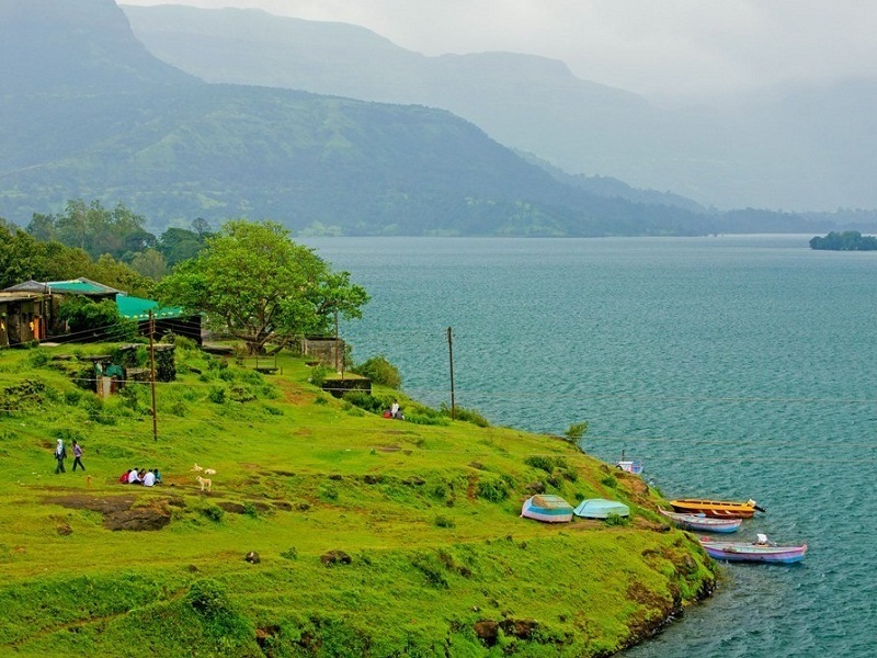 Bhandardara Camping
